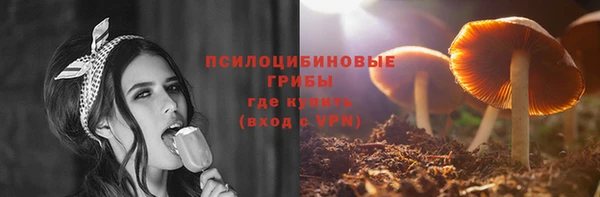 ECSTASY Ладушкин