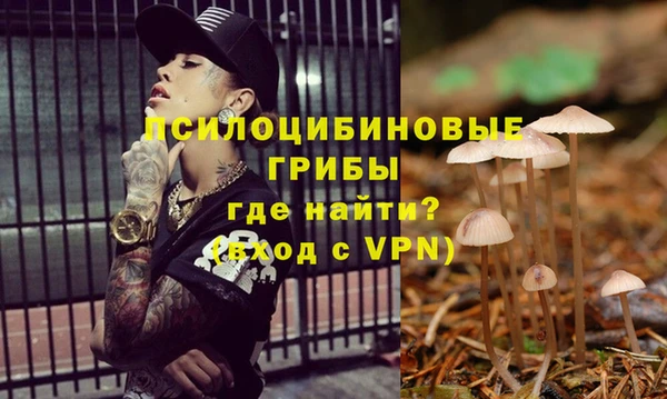 ECSTASY Ладушкин