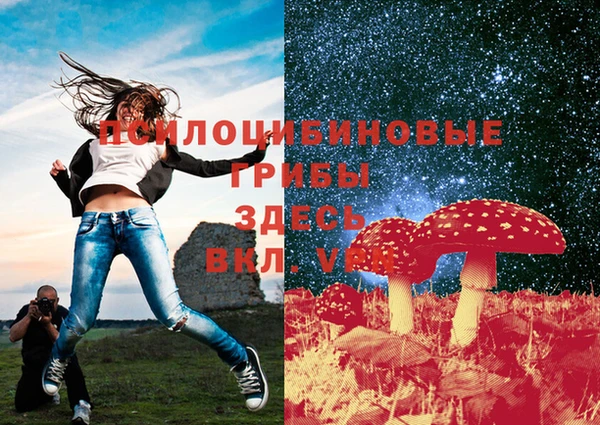 амф Кулебаки