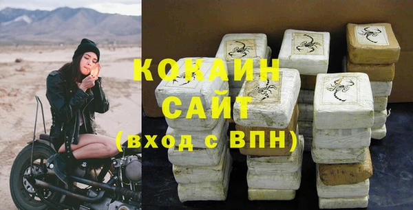 ECSTASY Ладушкин